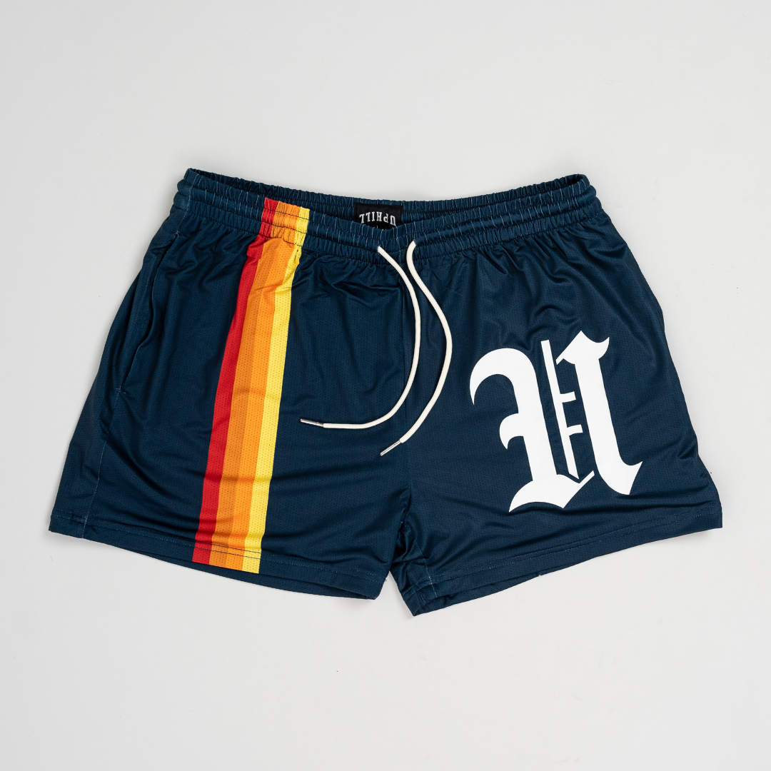 Vintage Stripe Shorts - Navy
