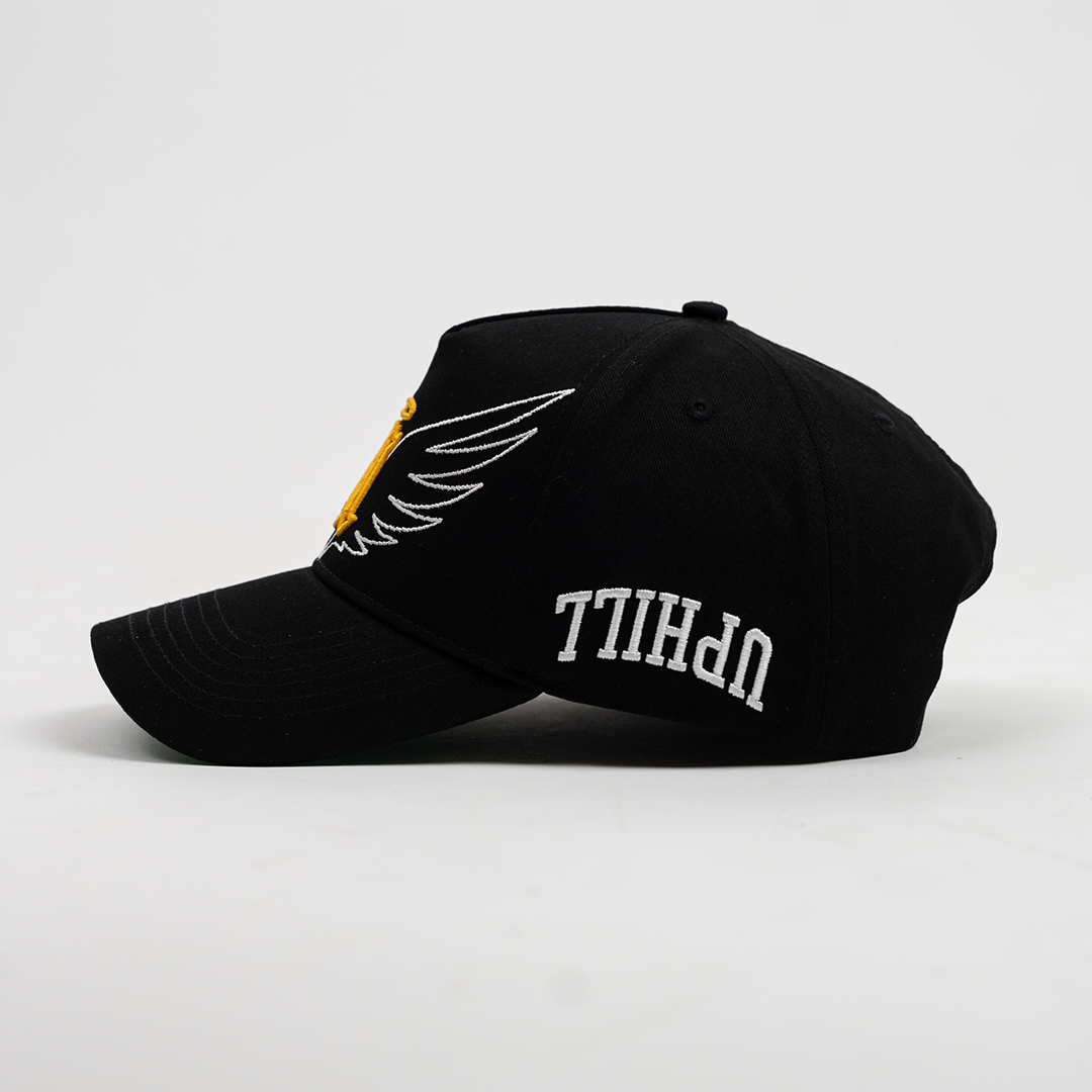 Wings Hat