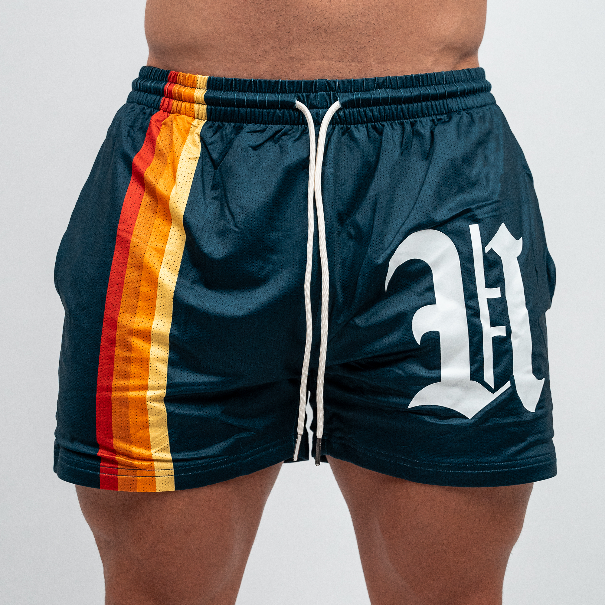 Vintage Stripe Shorts - Navy