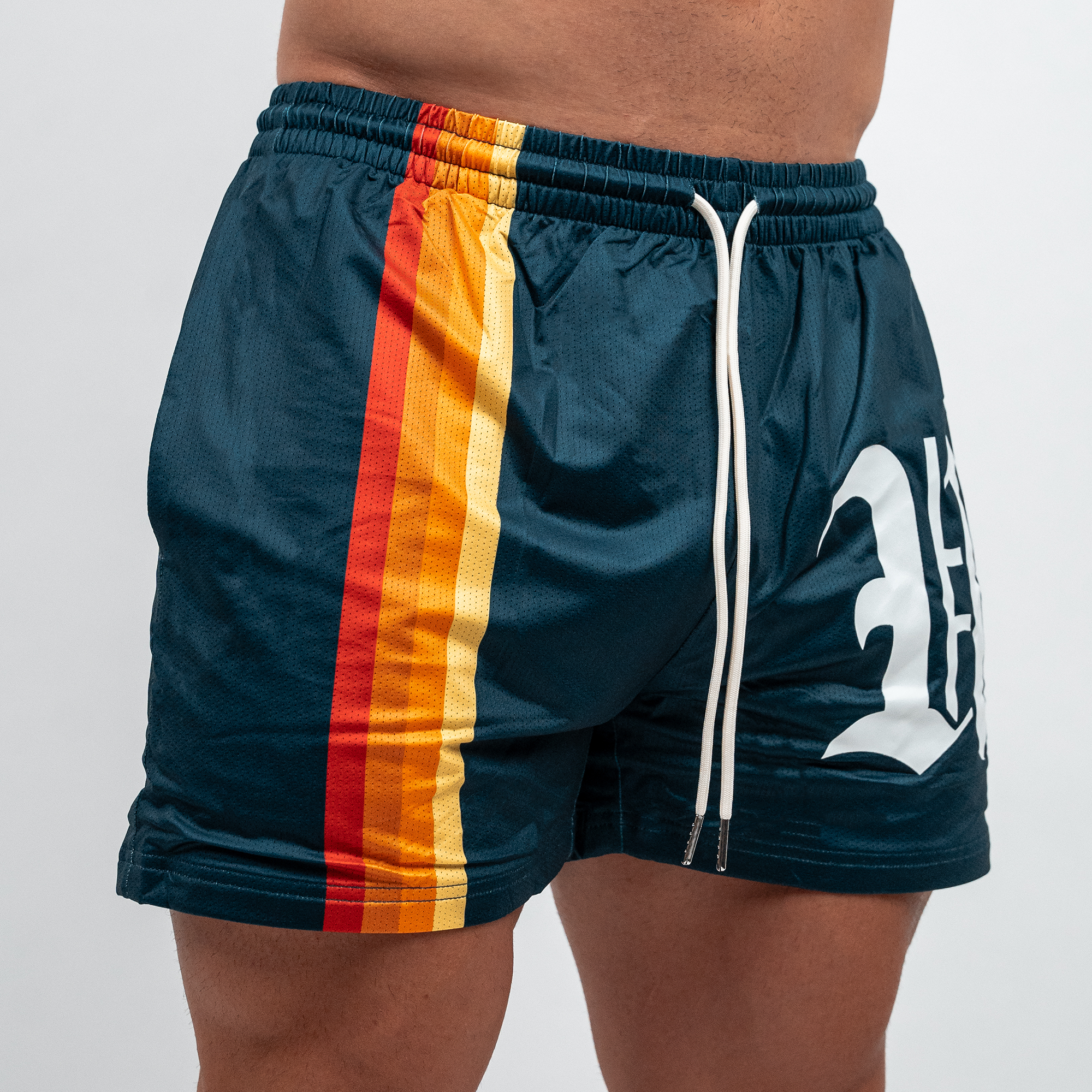Vintage Stripe Shorts - Navy