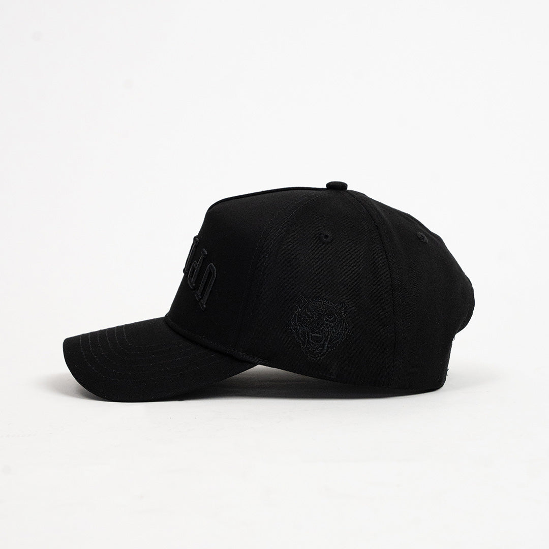 Triple Black ⅂⅂IHԀՈ Hat